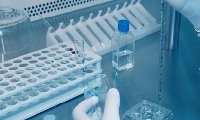 百汇试管婴儿是真的吗？成功率怎么样？