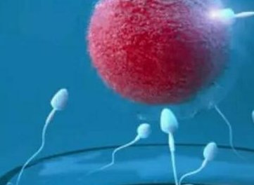 西安第三代试管婴儿成功率有多大？