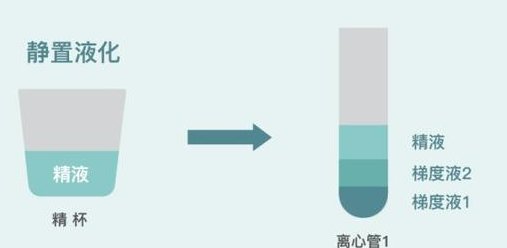 先天性子宫畸形能做试管婴儿吗？可以选择做三代试管婴儿吗？