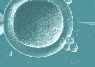 泰国拉玛九医院试管婴儿费用明细是怎样的呢？