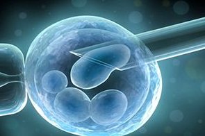 试管婴儿移植后多久着床？